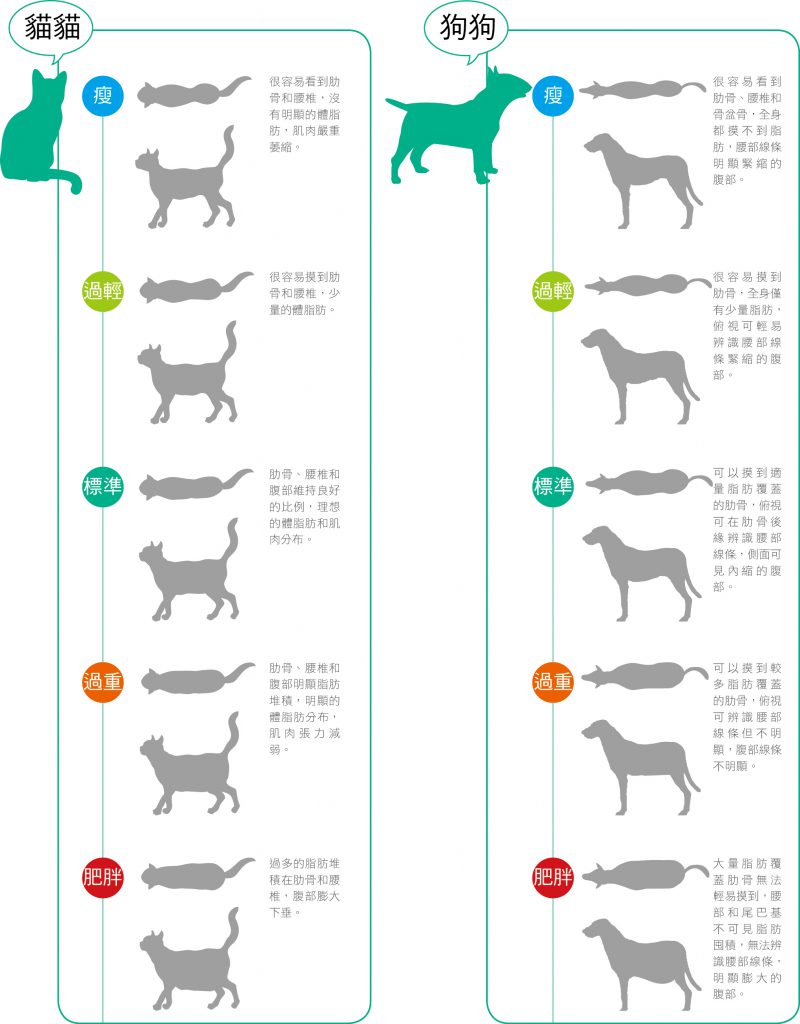 寵物健康體重管理slim Body Hotpets 哈寵誌