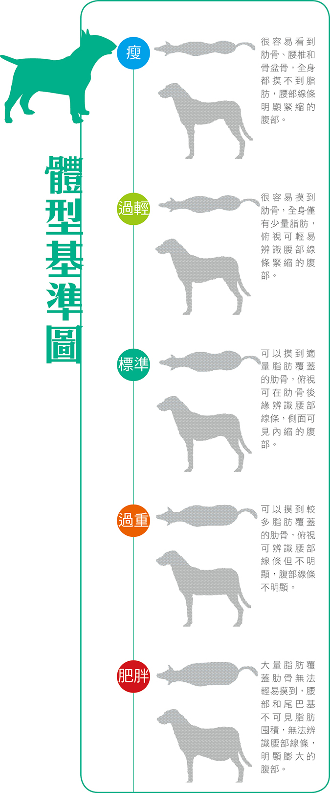 牛牛的日常煩惱 法國鬥牛犬 Hotpets 哈寵誌