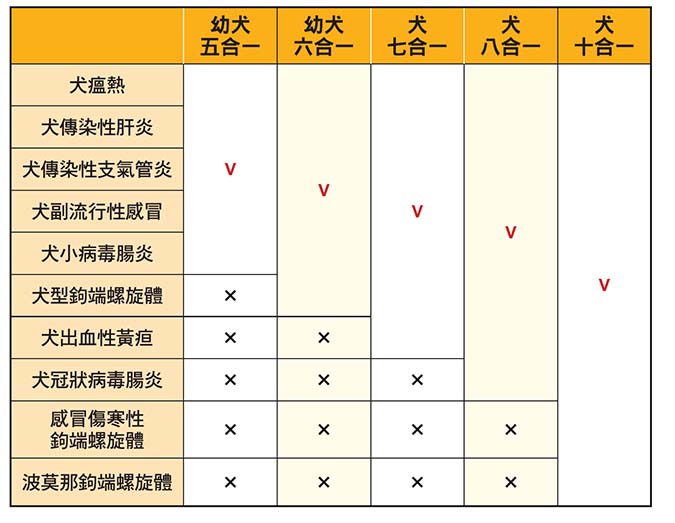 狗狗平日準備好外出主人沒煩惱 Hotpets 哈寵誌